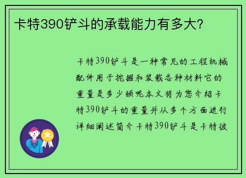 卡特390铲斗的承载能力有多大？